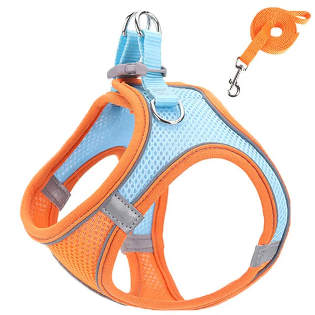 Pet Cat harness 