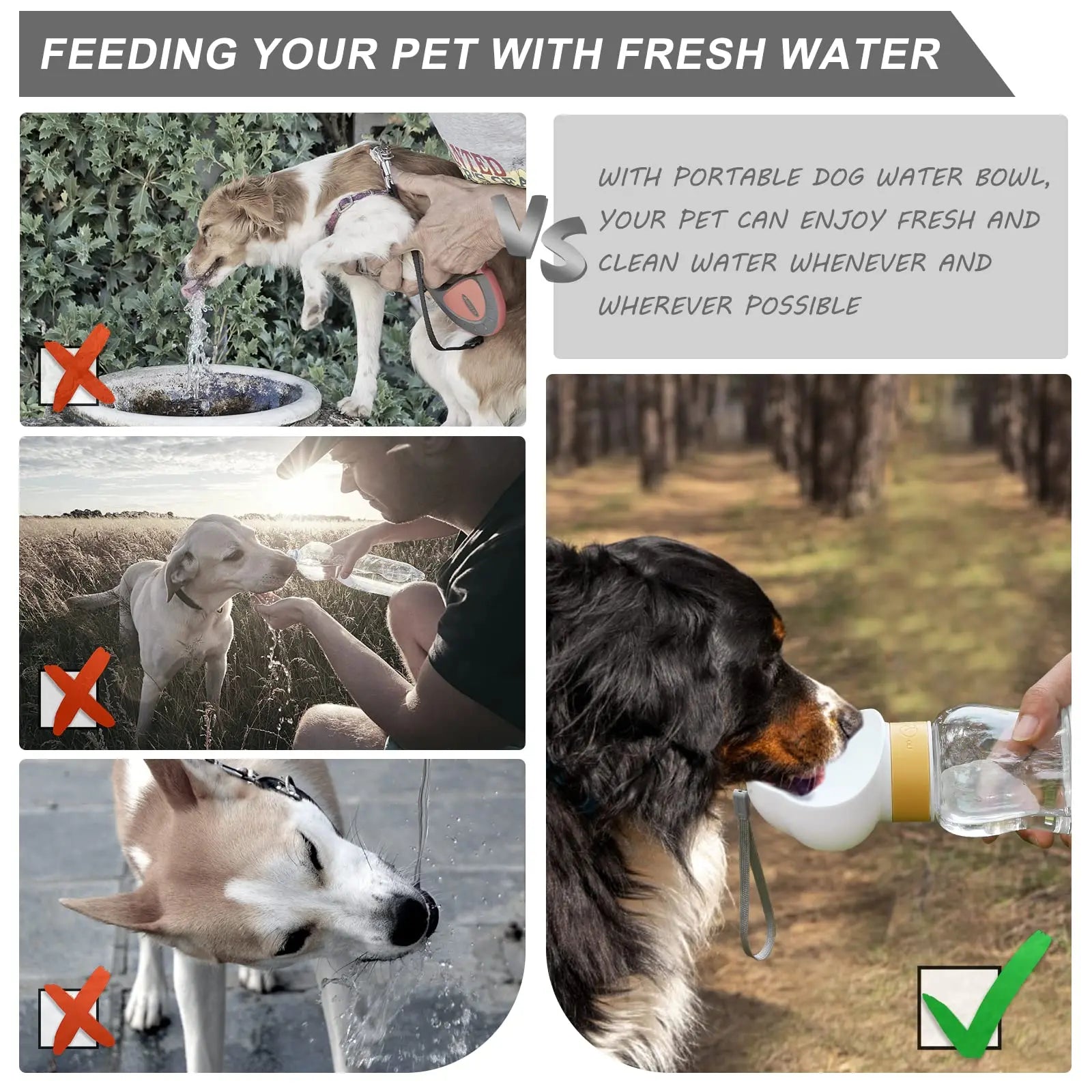 Multifunction Dog Water Feed Bottle - Pet Wonderland Cloud