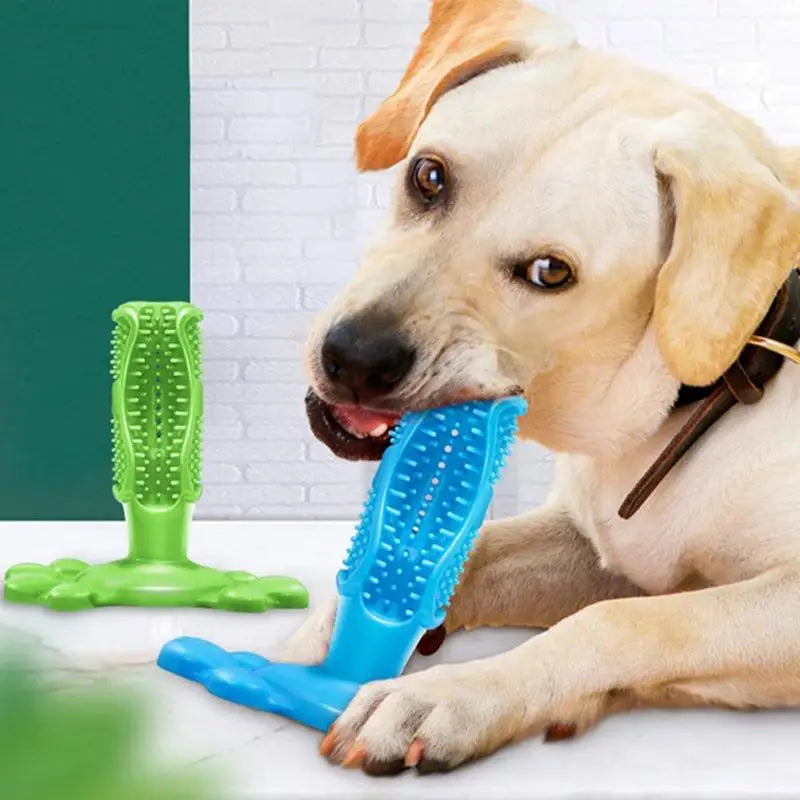 Dog Toothbrush Chew Toy