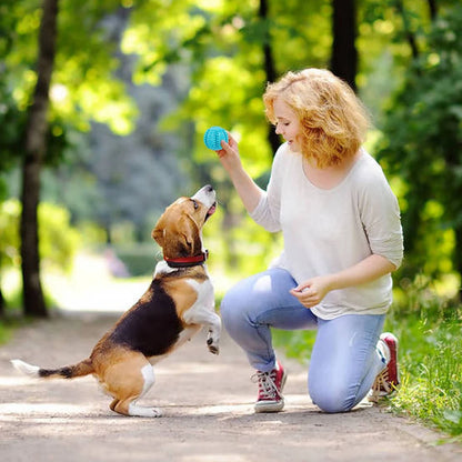 Dog Tooth Cleaning Rubber Ball Toy