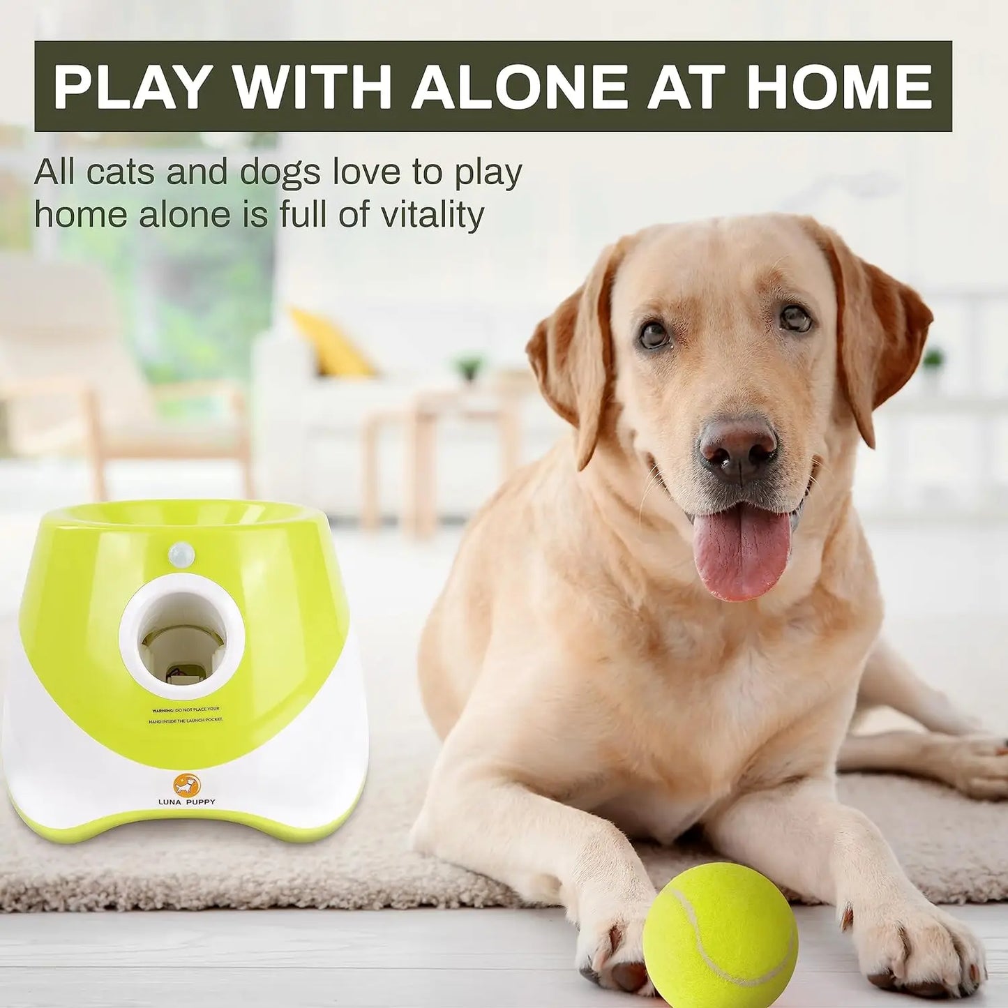 Dog Automatic Ball Launcher