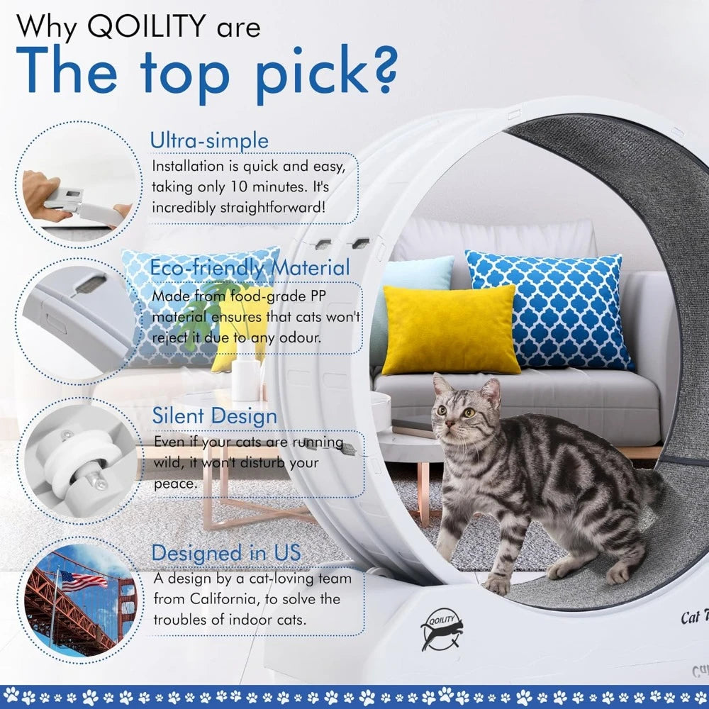 Cat Wheel Exerciser Toy