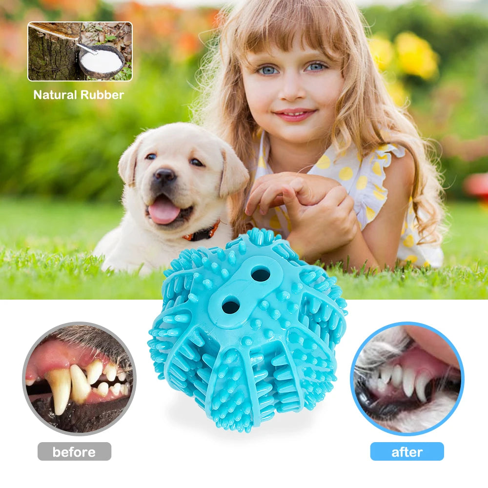 Dog Tooth Cleaning Rubber Ball Toy