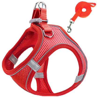 Pet Cat harness 