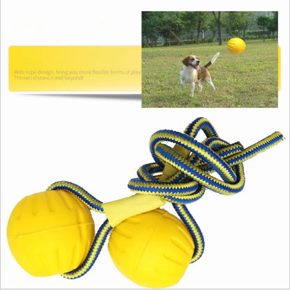 Dog Training Chew Toy