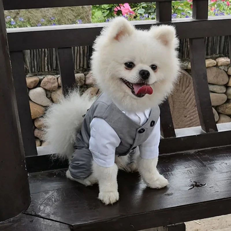 Dog Tuxedo Suit - Pet Wonderland Cloud