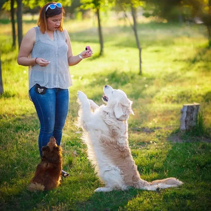 Dog Training Clicker Tool