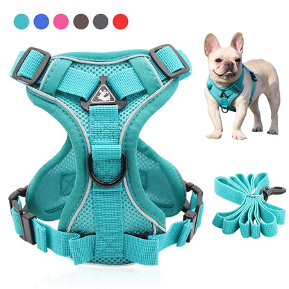 Pet Reflective Harness Leash Set - Pet Wonderland Cloud