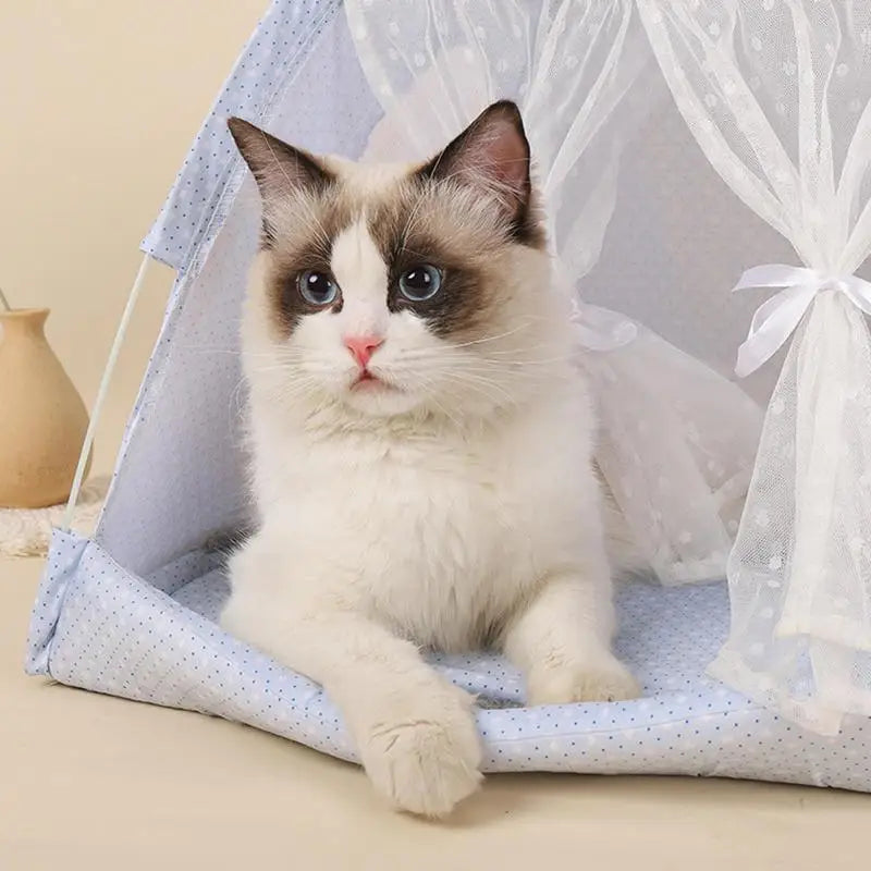 Rabbit Ear Pet Teepee Tent - Pet Wonderland Cloud