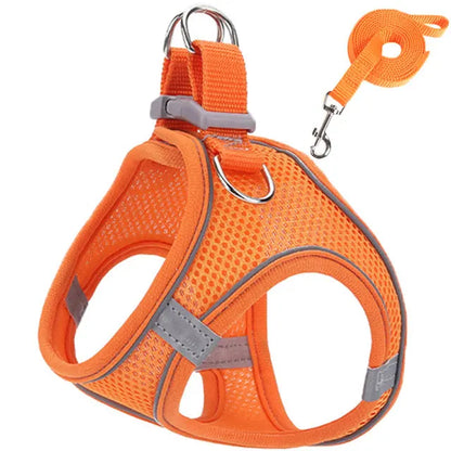 Pet Cat harness 