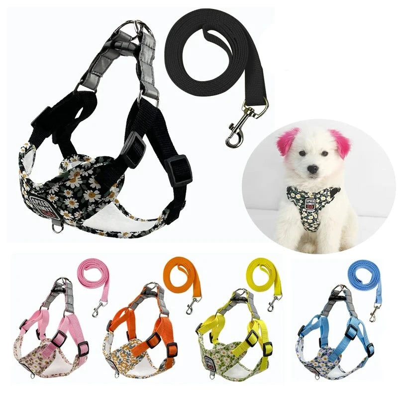 Reflective Dog Harness Leash Set - Pet Wonderland Cloud