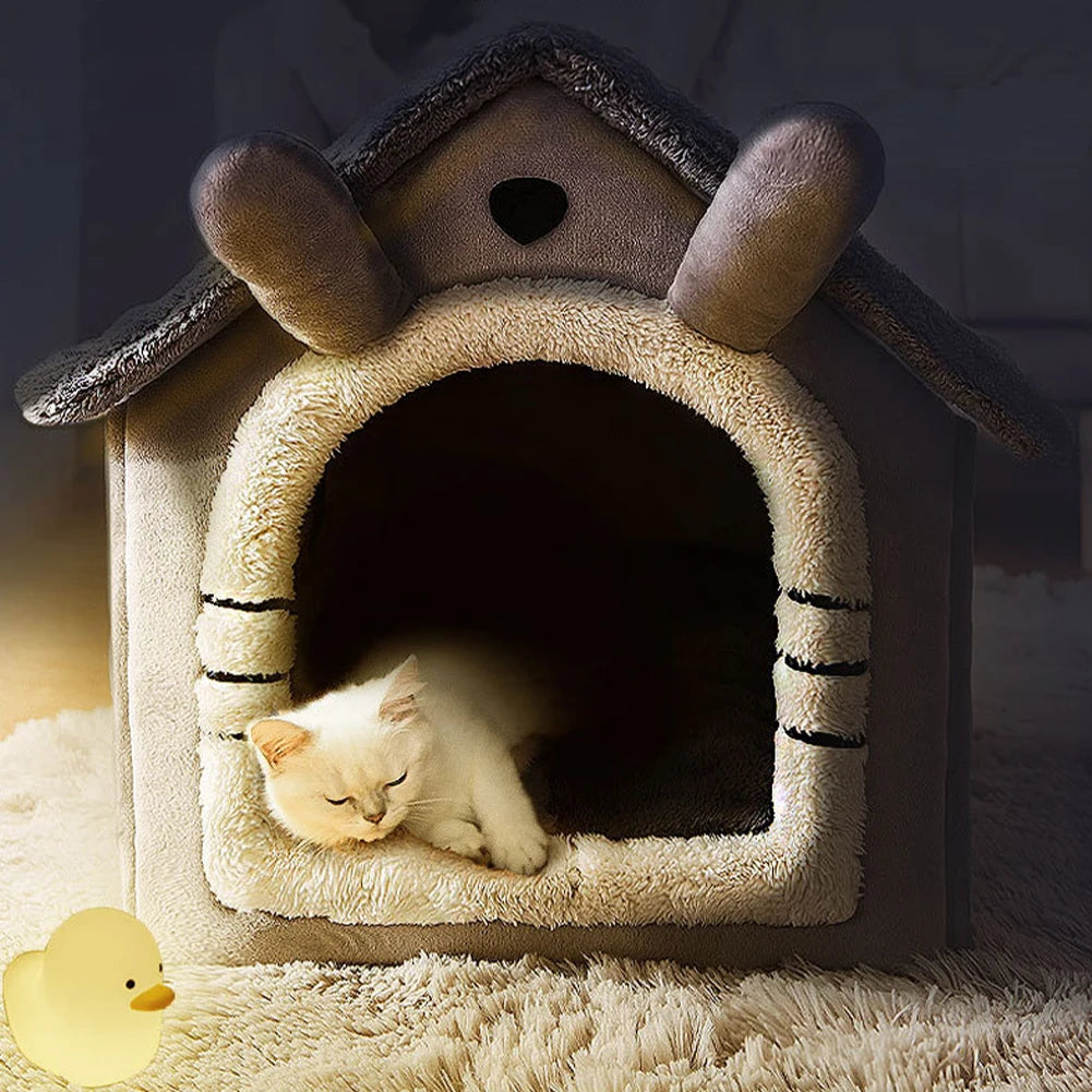 Cute Cats Dogs House