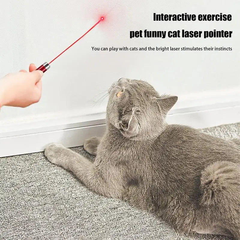 Cat Laser Toy 