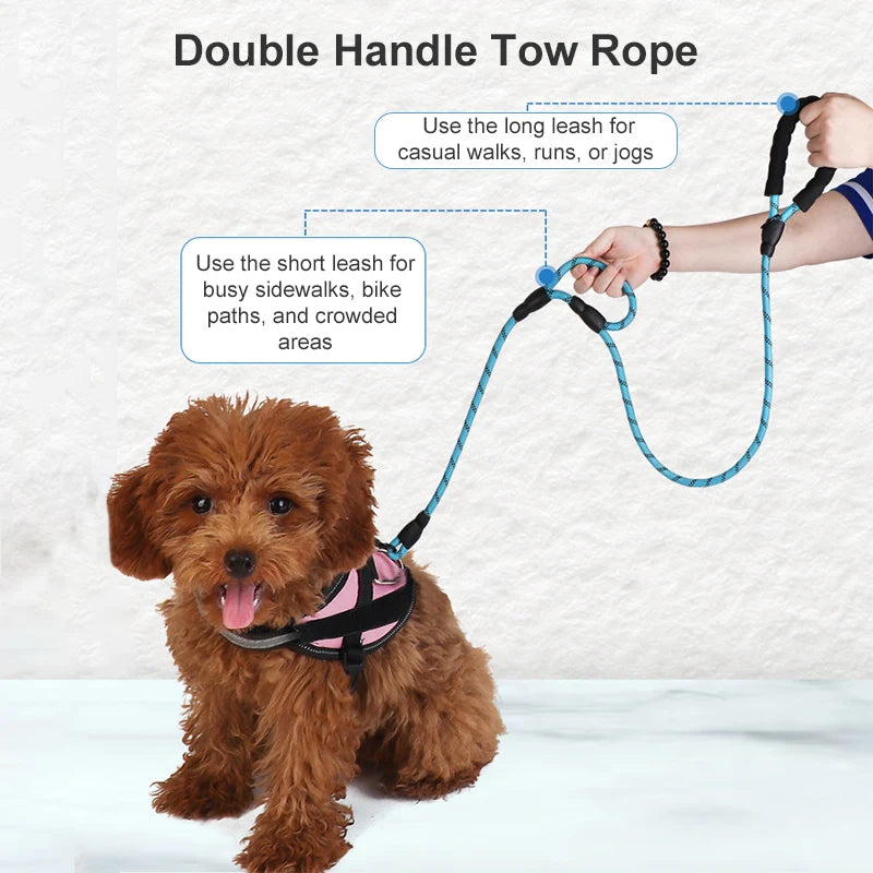 Double Handle Dog Leash - Pet Wonderland Cloud