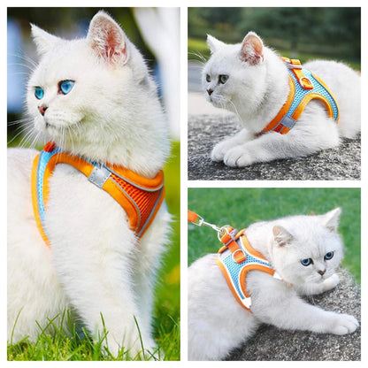 Pet Cat harness 