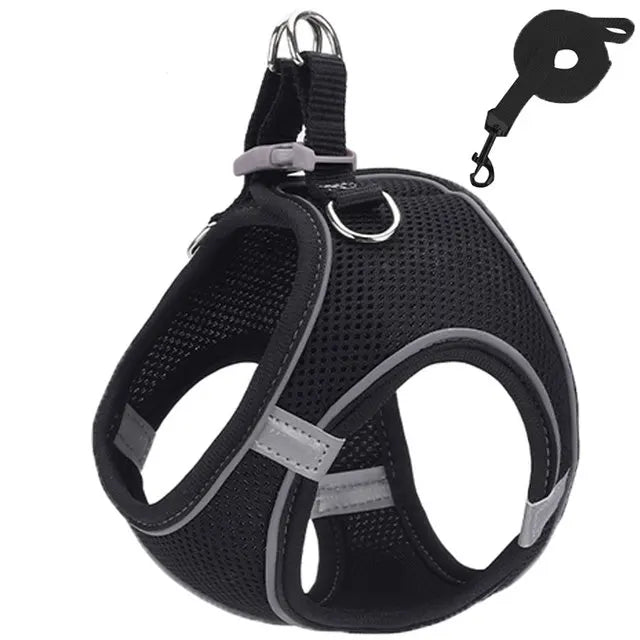 Pet Cat harness 