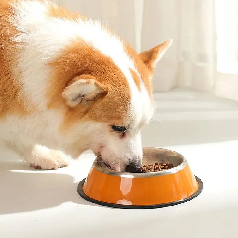 Stainless Steel Dog Food Anti-Skid Bowl - Pet Wonderland Cloud