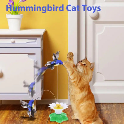 Hummingbird Teaser Toy