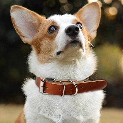 Dog Metal Buckle Leather Collar - Pet Wonderland Cloud