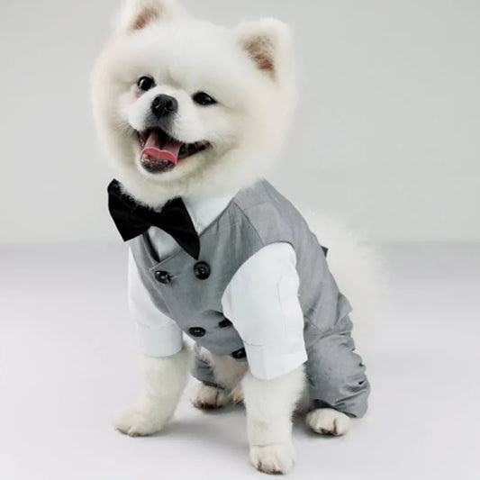 Dog Tuxedo Suit - Pet Wonderland Cloud