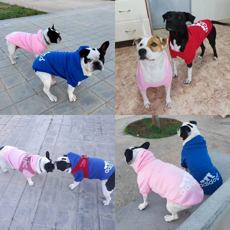 Winter Dog Fleece Hoodies - Pet Wonderland Cloud