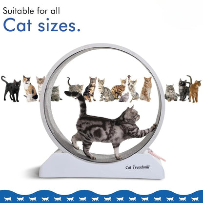 Cat Wheel Exerciser Toy