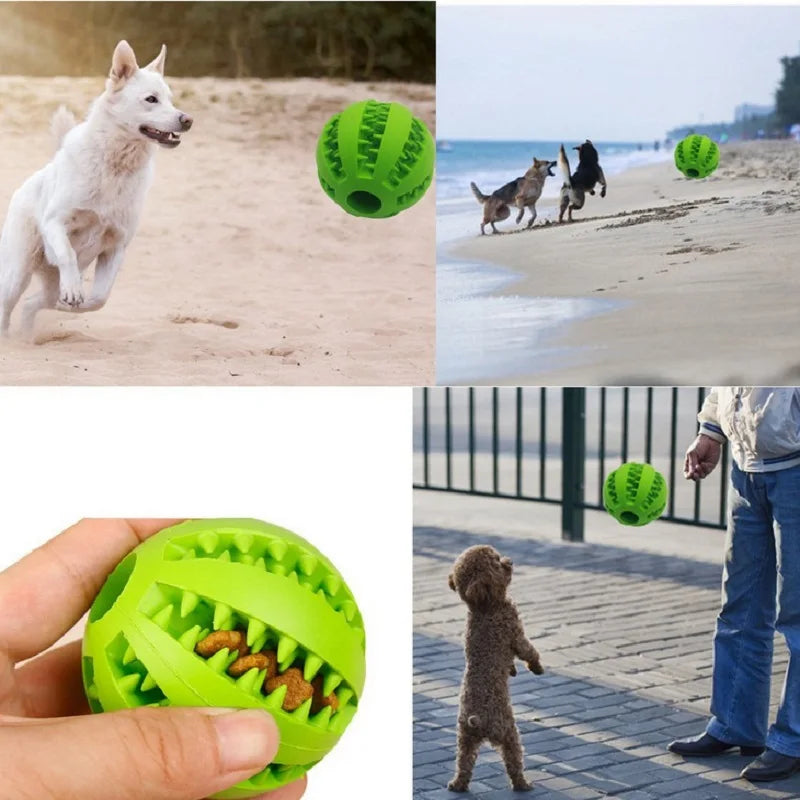 Dog Rubber Ball Chewing Toy