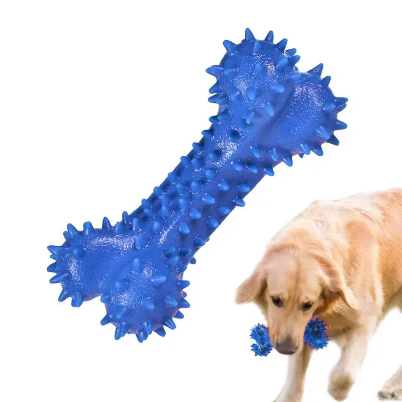 Dog Spiky Bone Chew Toy