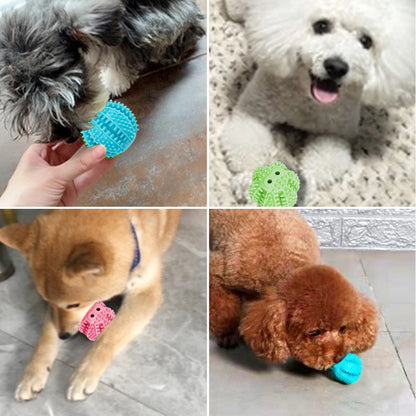 Dog Tooth Cleaning Rubber Ball Toy