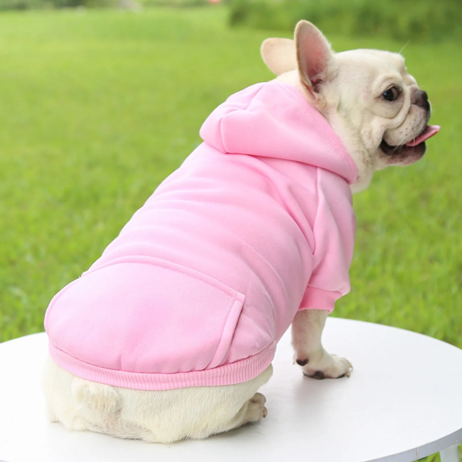 Dog Winter Hoodie - Pet Wonderland Cloud