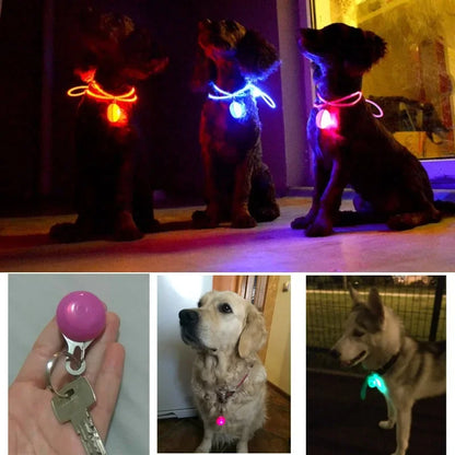 Pet Night Safety Collar Pendant Light - Pet Wonderland Cloud