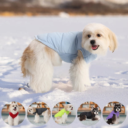 Winter Dog Warm Padded Coat - Pet Wonderland Cloud