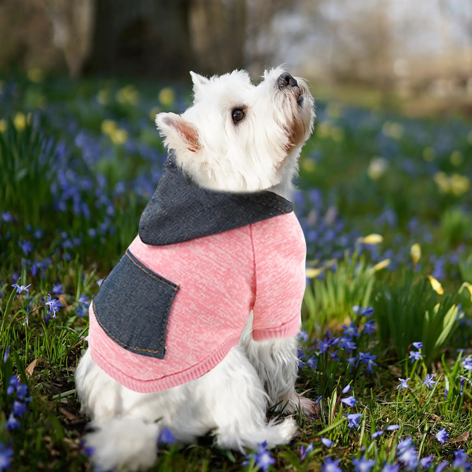 Dog Legs Poodle Sweater - Pet Wonderland Cloud