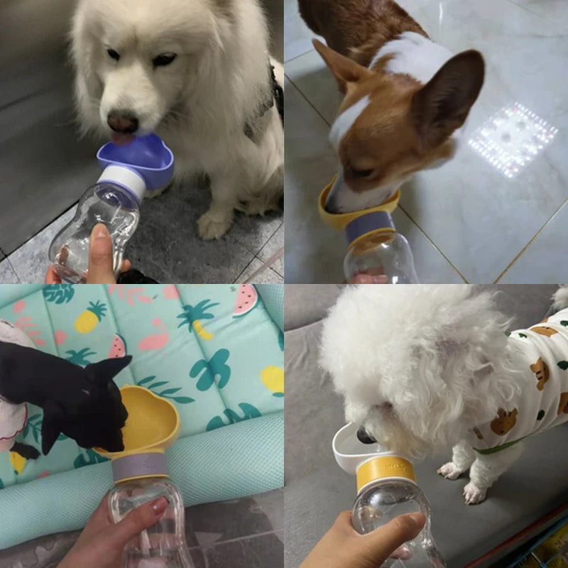 Multifunction Dog Water Feed Bottle - Pet Wonderland Cloud