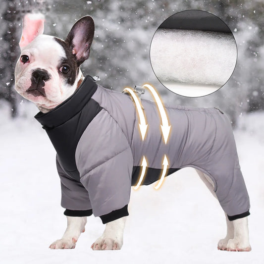 Dog Winter Snow Jacket - Pet Wonderland Cloud