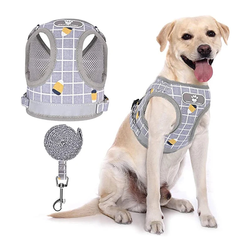 Pet Mesh Harness Leash Set - Pet Wonderland Cloud