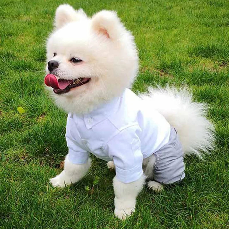 Dog Tuxedo Suit - Pet Wonderland Cloud