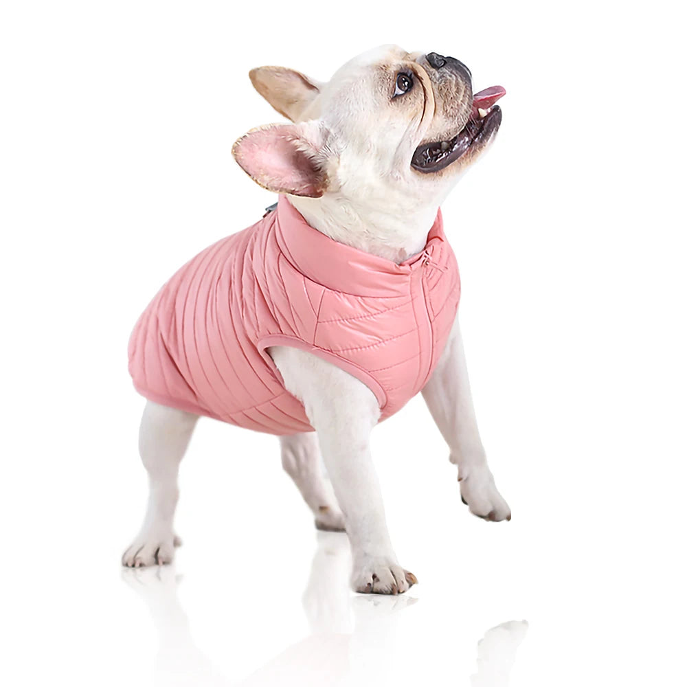 Winter Warm Dog Waterproof Jacket - Pet Wonderland Cloud