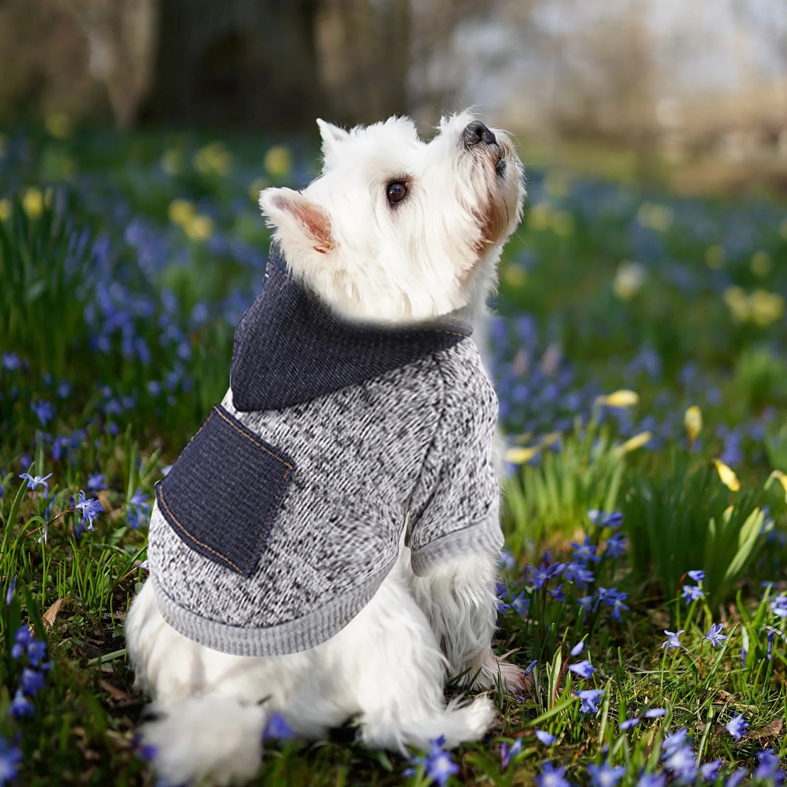 Dog Legs Poodle Sweater - Pet Wonderland Cloud