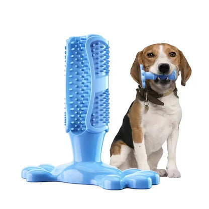 Dog Toothbrush Chew Toy