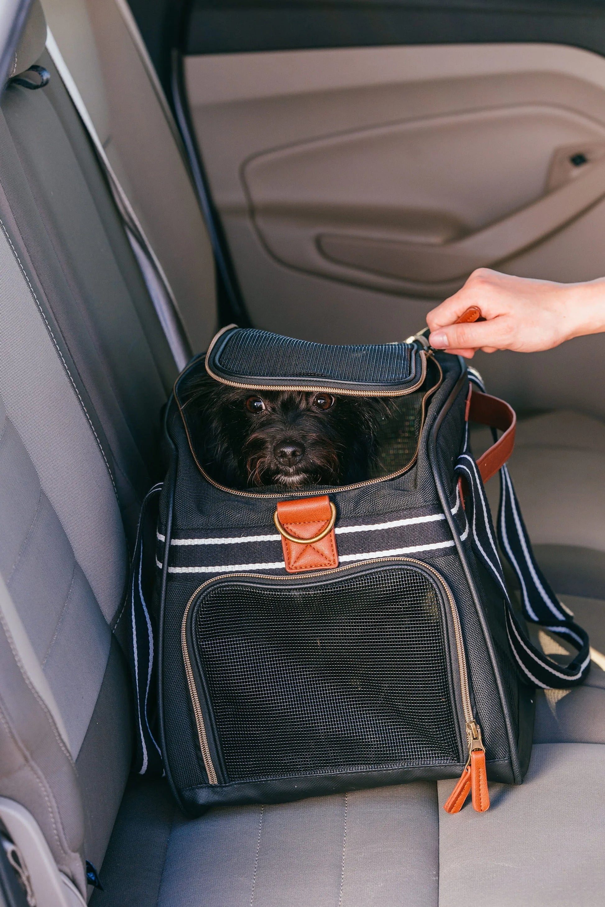 Small Pet Travel Bag - Pet Wonderland Cloud