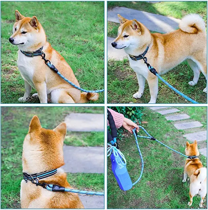 Double Handle Dog Leash - Pet Wonderland Cloud