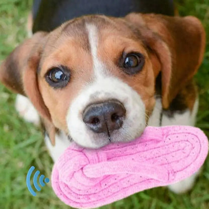 Dog Teeth Cleaning Squeaky Toy