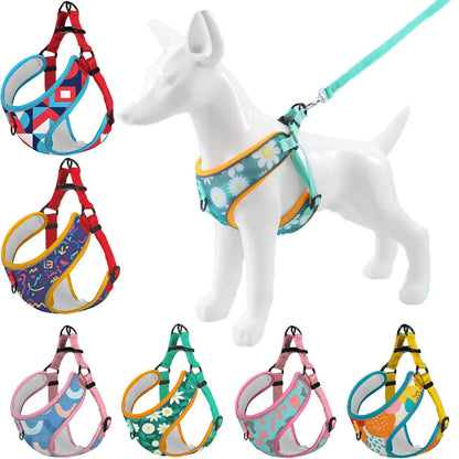 Dog Comfort Harness Leash Set - Pet Wonderland Cloud