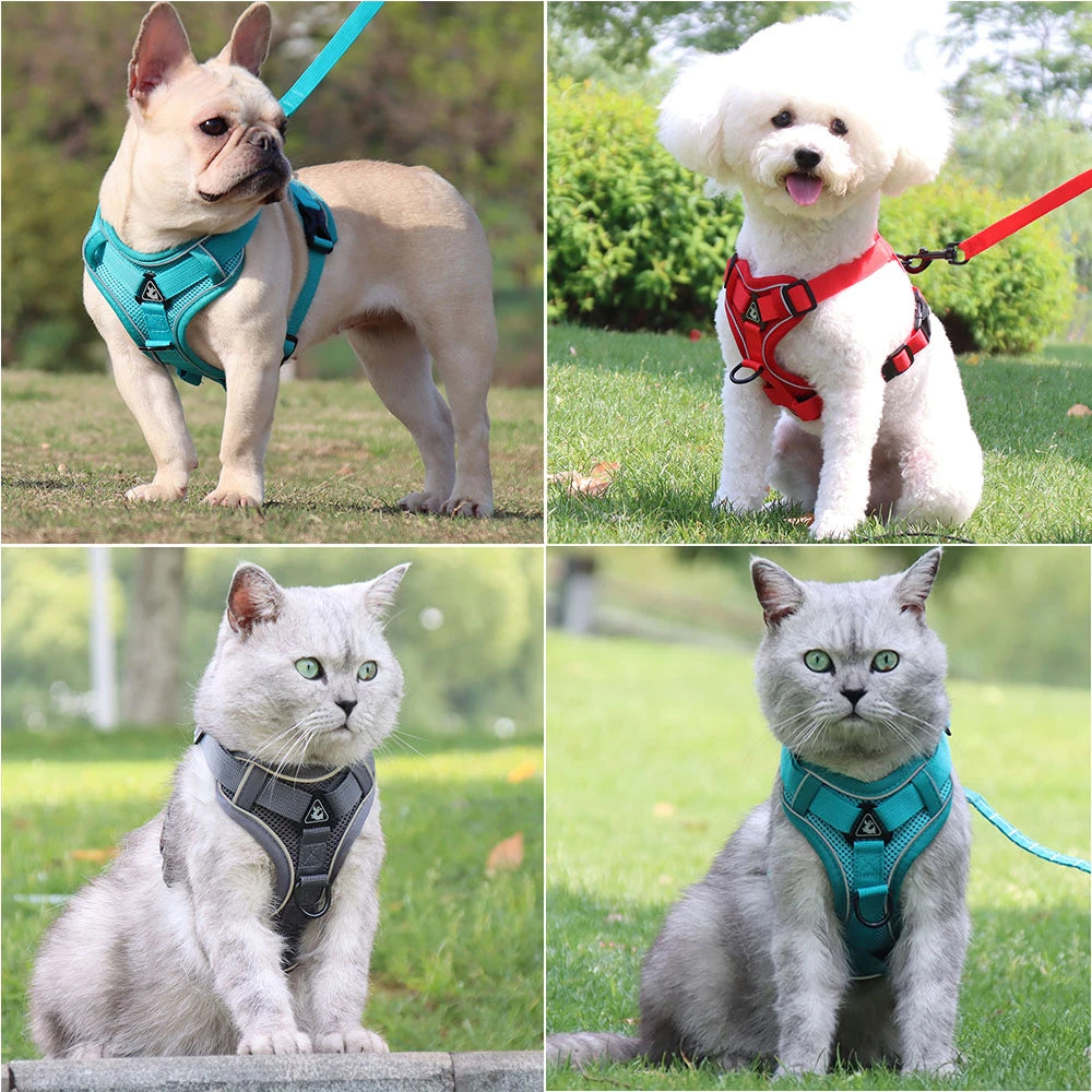 Pet Reflective Harness Leash Set - Pet Wonderland Cloud