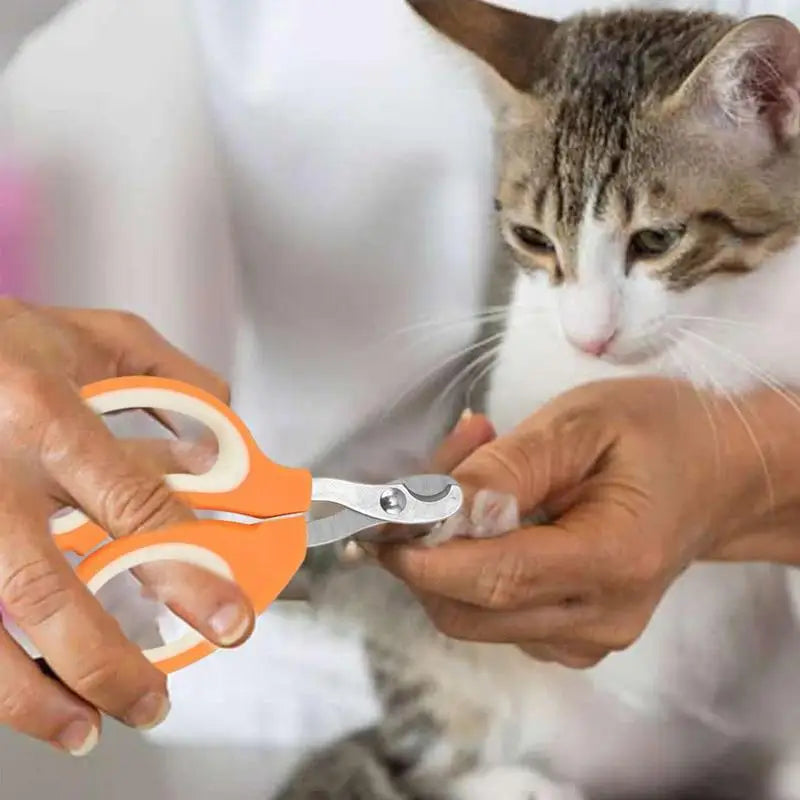 Stainless Steel Nail Grooming Scissor - Pet Wonderland Cloud