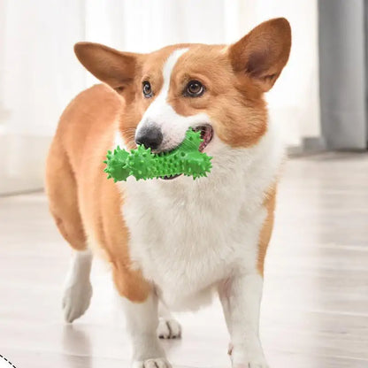 Dog Spiky Bone Chew Toy