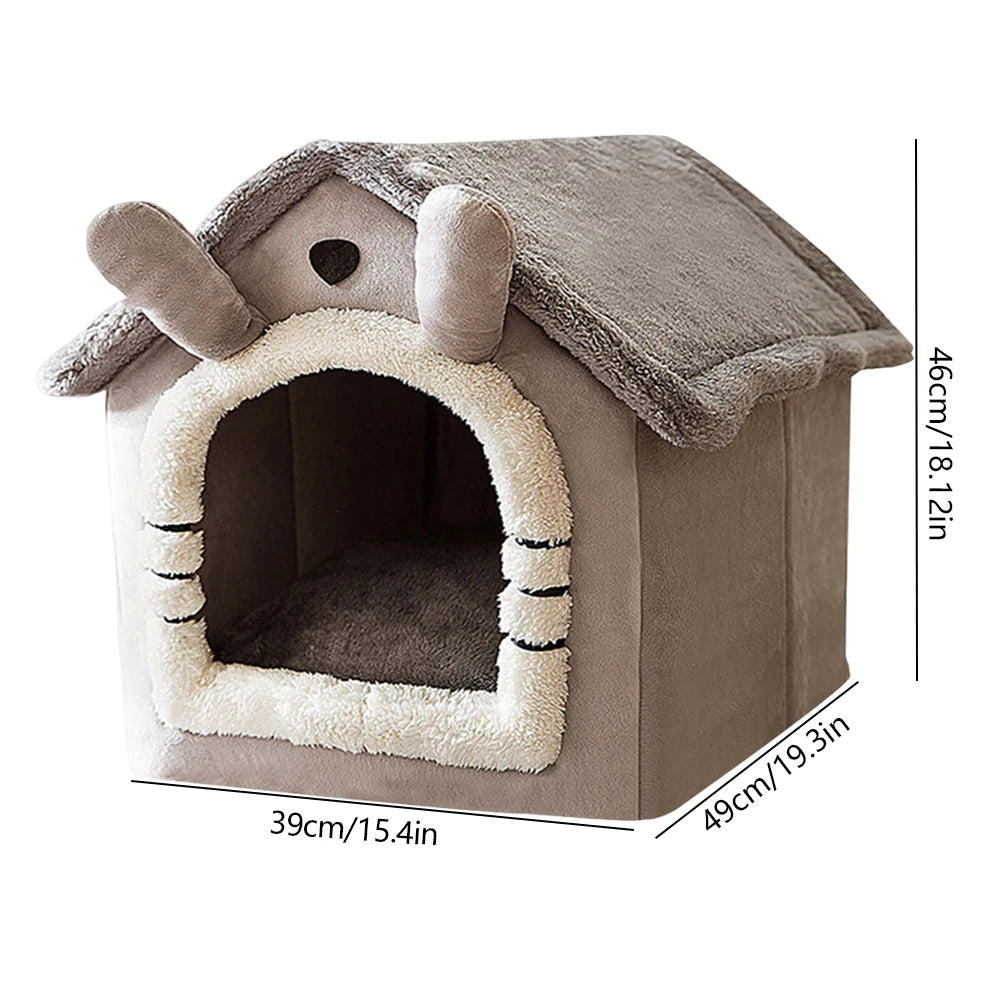 Cute Cats Dogs House