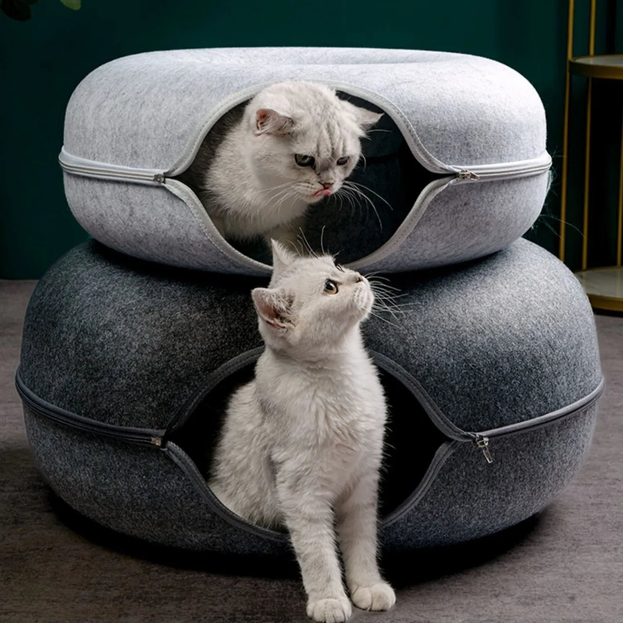 Donut Cat Interactive Tunnel Bed - Pet Wonderland Cloud