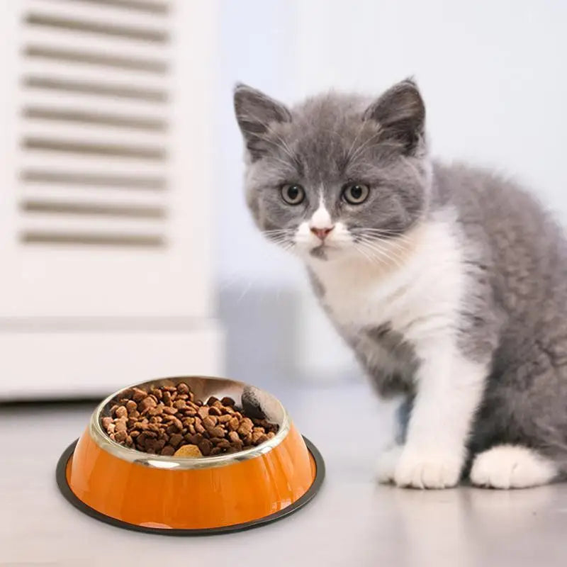 Stainless Steel Dog Food Anti-Skid Bowl - Pet Wonderland Cloud